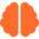 Brain